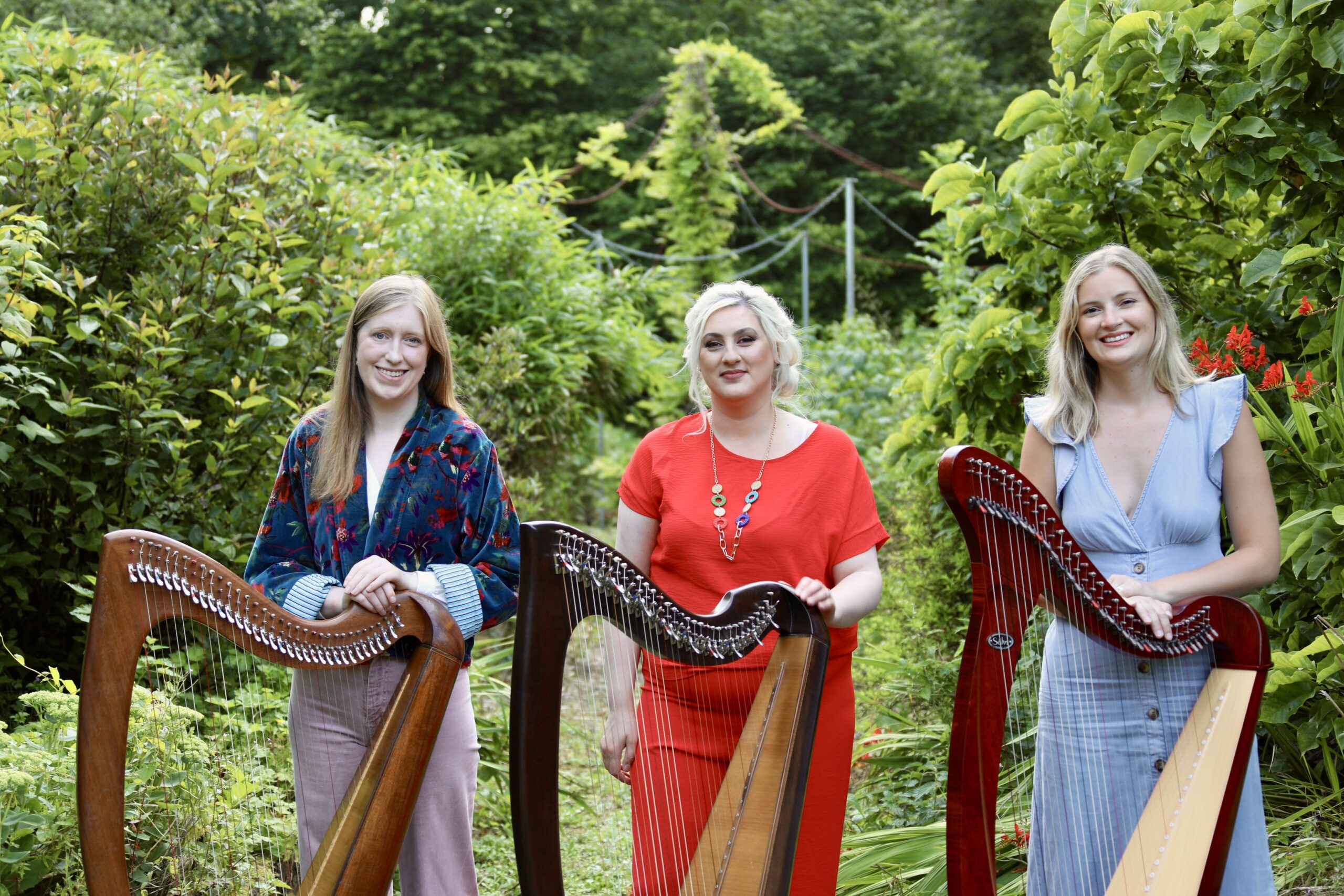 Castleconnell Creativity Shines as Dr Fiana Ní Chonaill Debuts New Harp Works